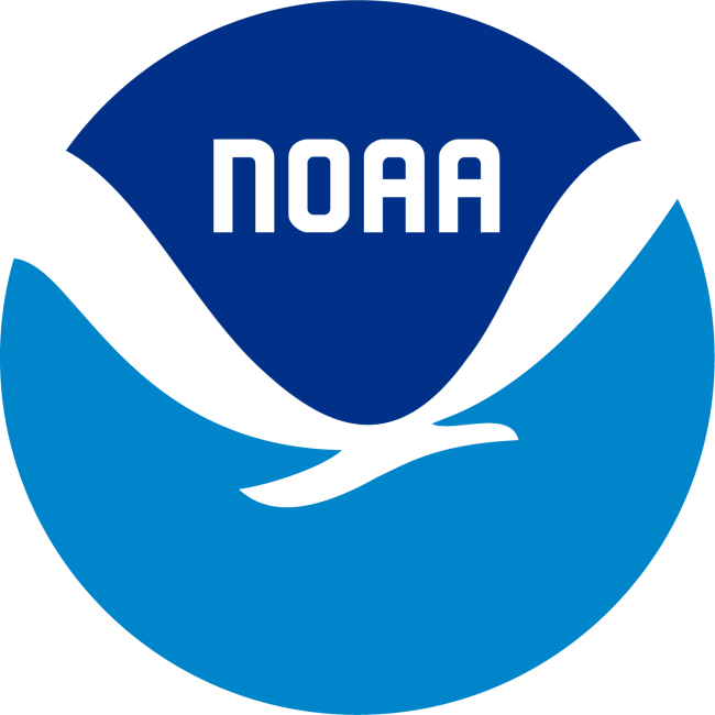 NOAA digital logo